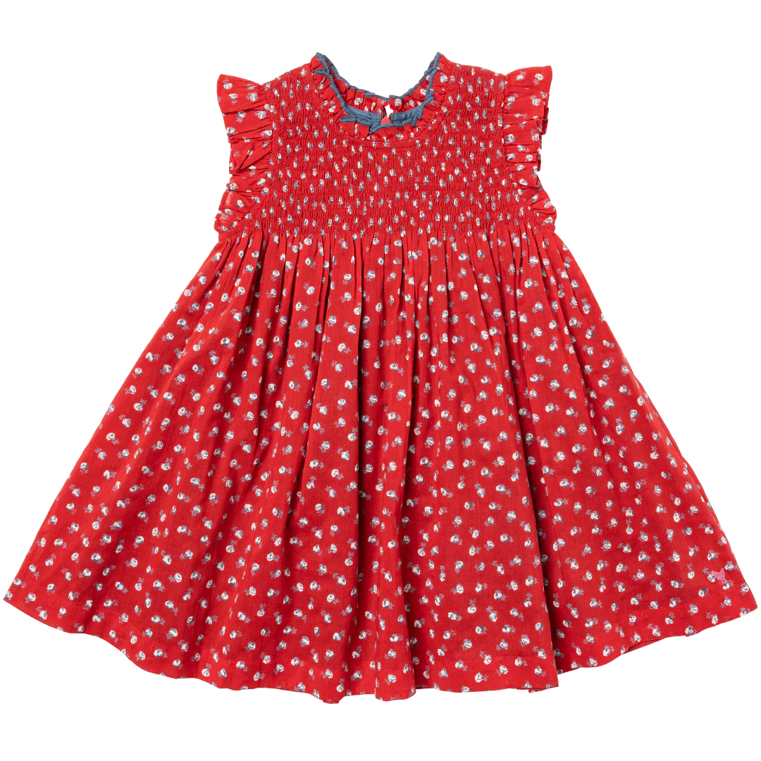 Pink Chicken Stevie Dress- Tiny Red Roses
