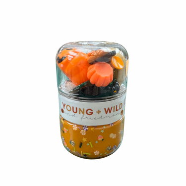 Young Wild + Friedman - Grab and Go Sensory Dough Jar - Jack O Lantern