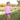 Yoga Baby - The Bellflower Collection - Bubblegum Long Sleeve Lettuce