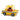 DJECO - Crazy Motors - Taxi Joe