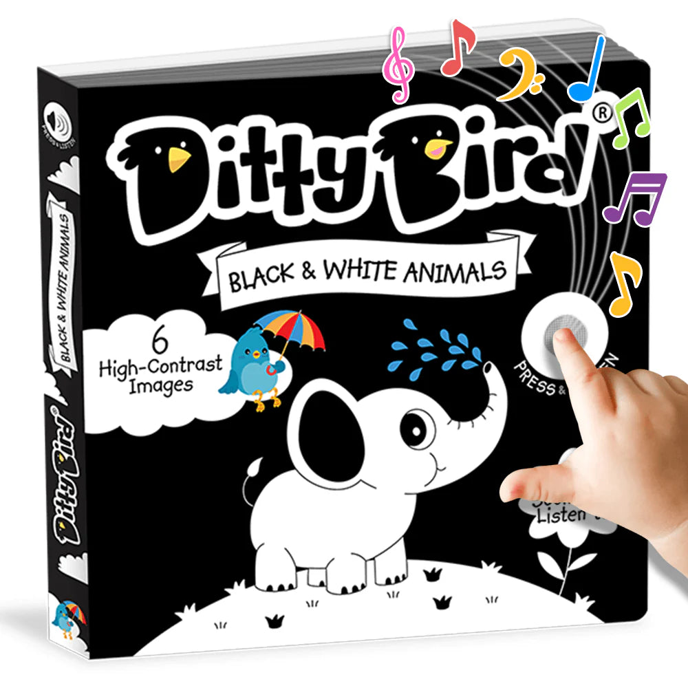 Ditty Bird - Black and White. Animals