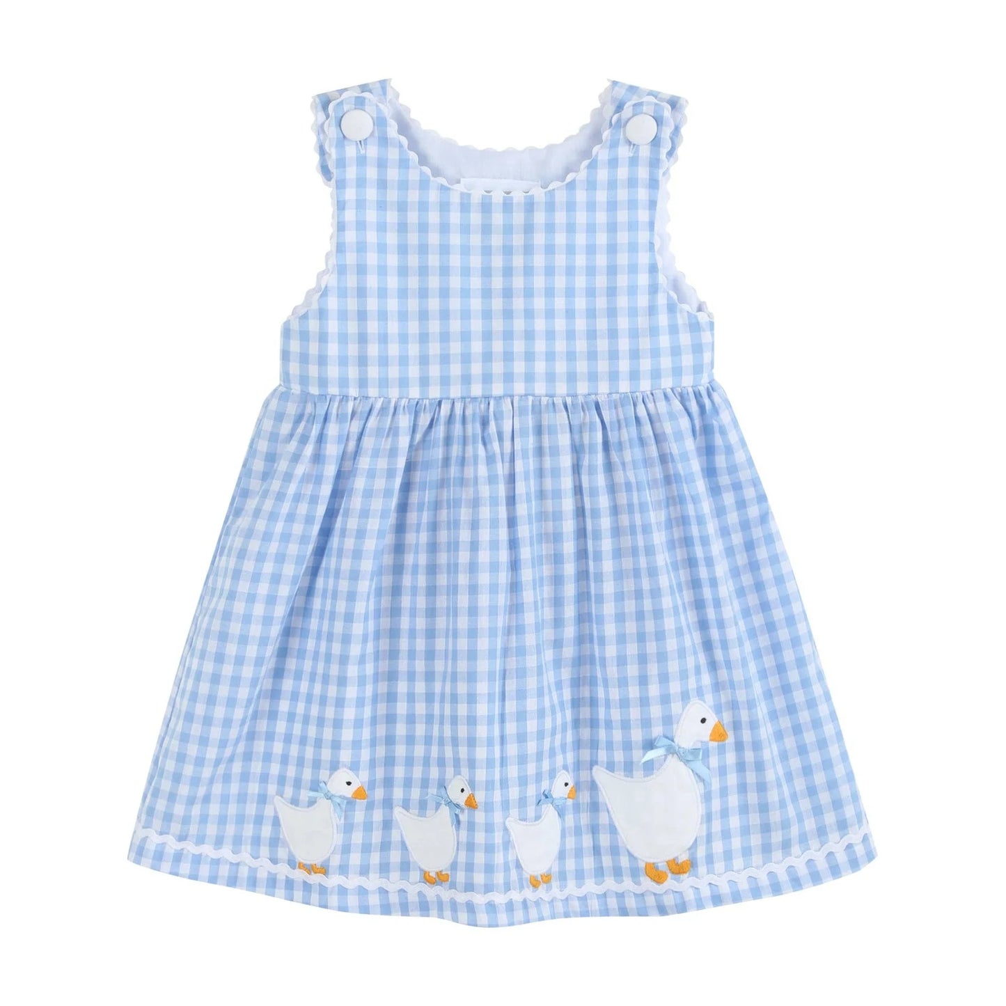 Lil Cactus - Blue Gingham Goose A Line Dress