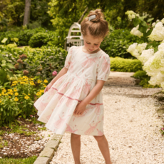 Pink Chicken - Girls Meredith Dress - Ballerinas